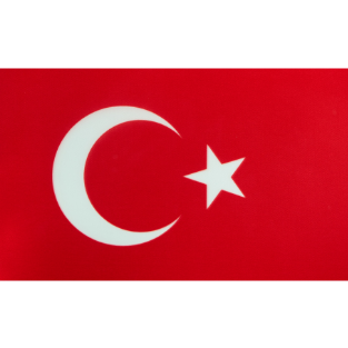 Türkçe