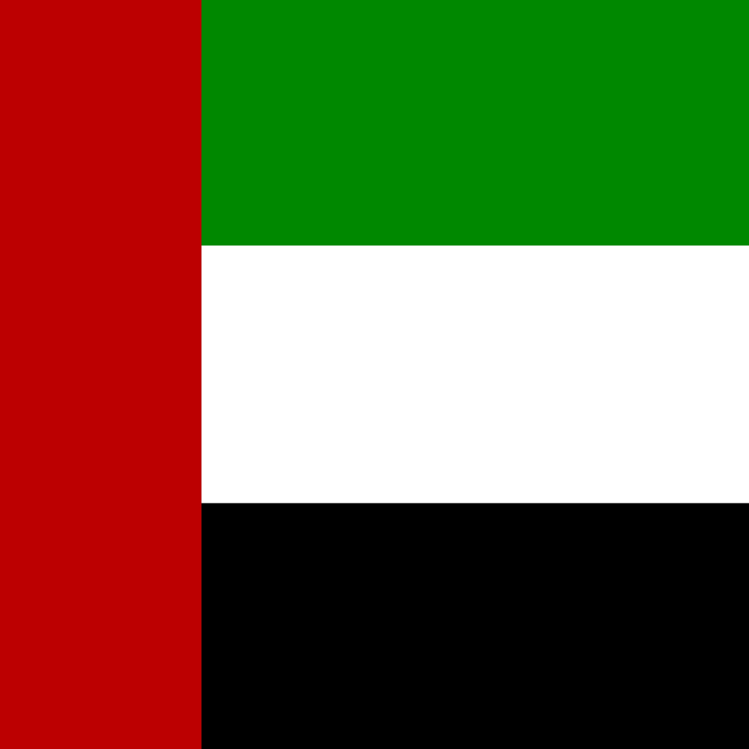 Specialized Marketing Package for the UAE Market