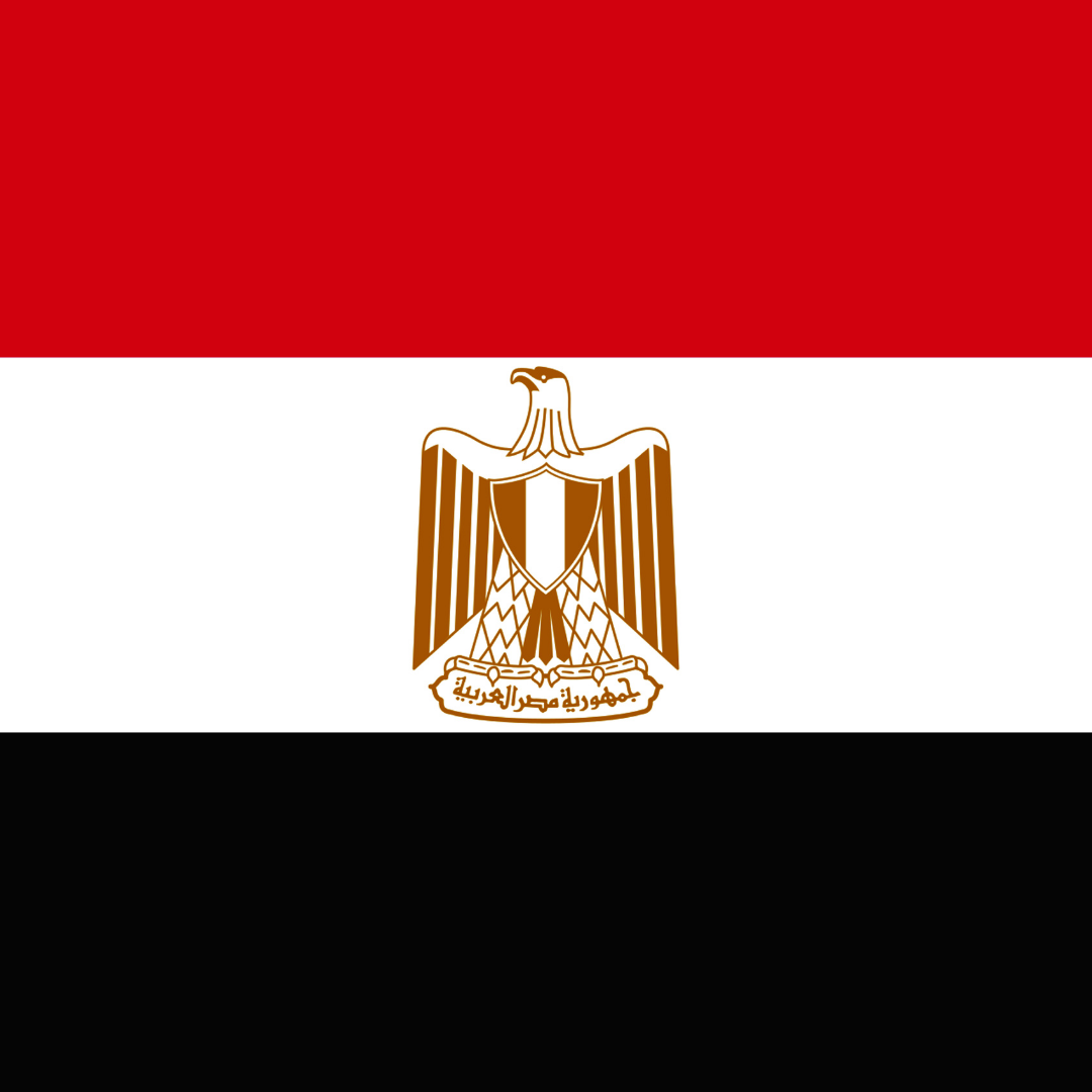 حزمة تسويق متخصصة للسوق المصري