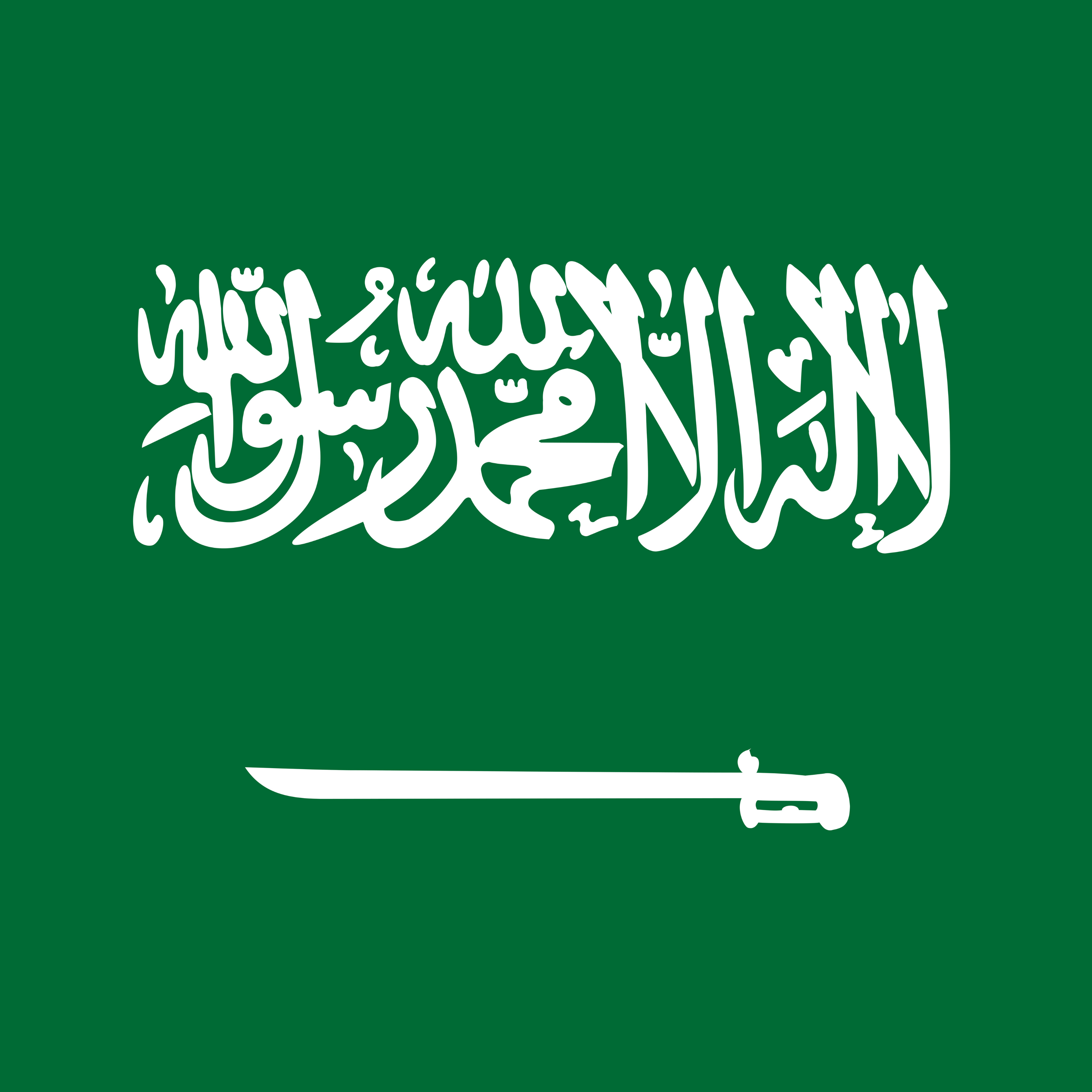 サウジアラビア市場向け専門マーケティングパッケージ