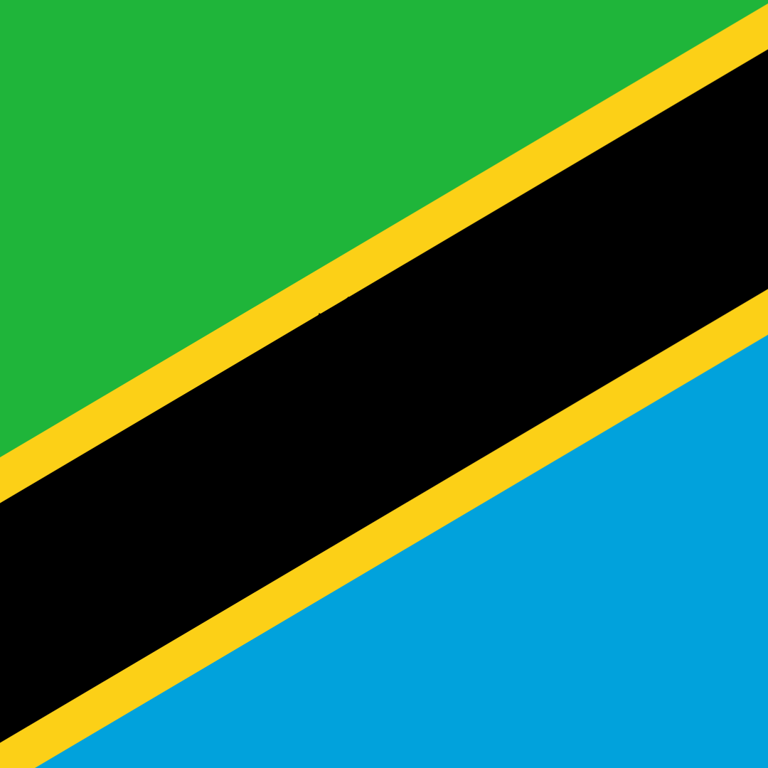 Specialized Marketing Package for the Tanzanian Market