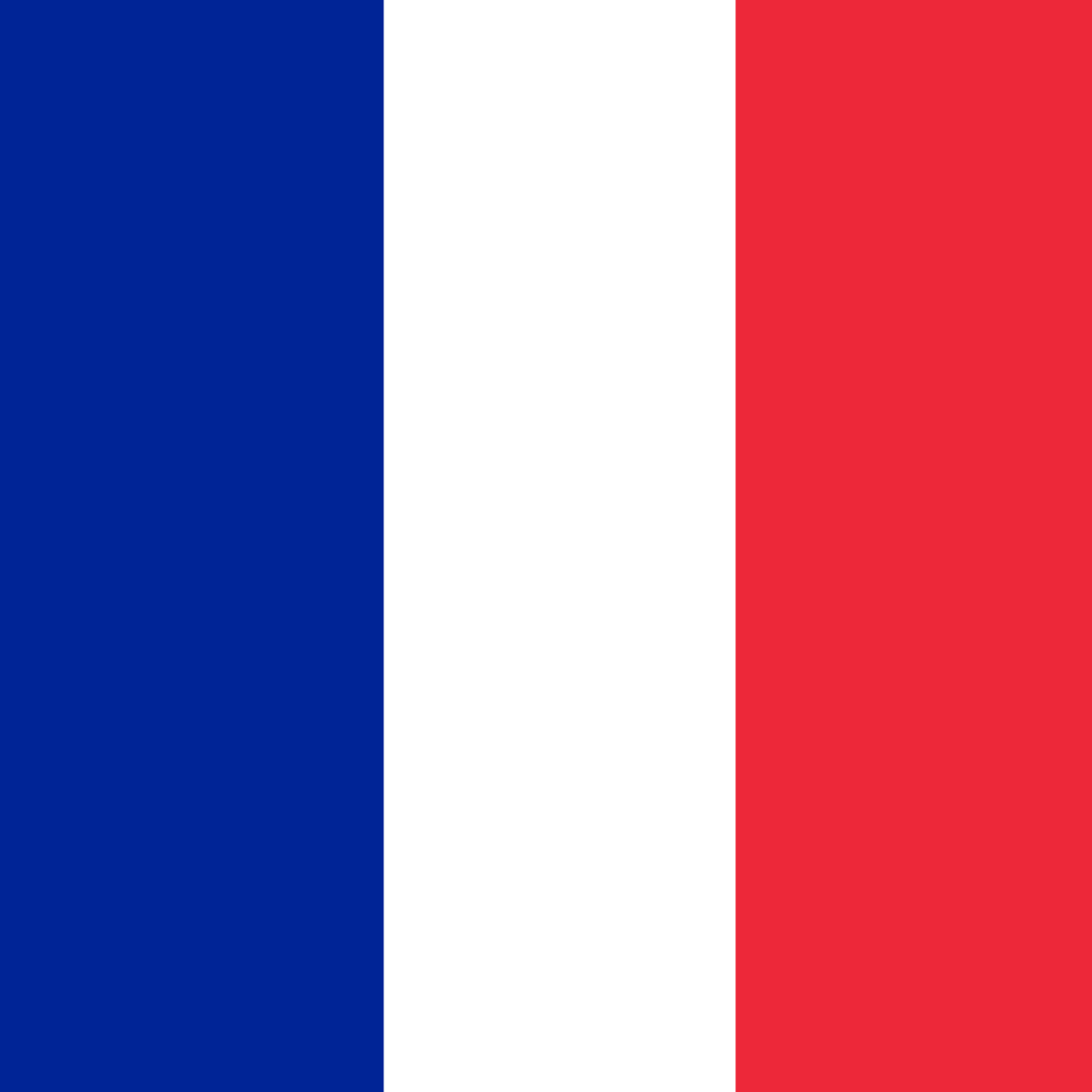 Forfait marketing spécialisé pour le marché français